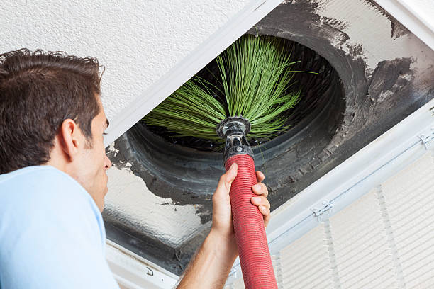 Best HVAC Air Duct Cleaning  in Mapleton, ND